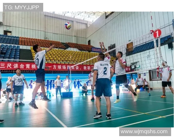 重庆排球队的速度之谜：排球巨献带你领略竞技魅力与团队精神