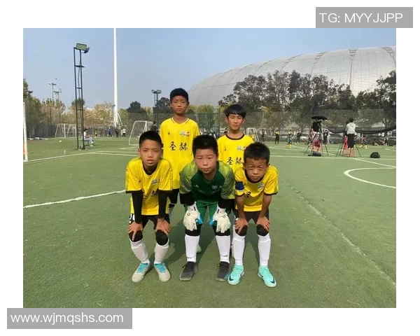 圣赫足球：探索这支球队的辉煌历史与未来发展潜力