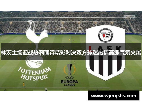 林茨主场迎战热刺期待精彩对决双方球迷热情高涨气氛火爆
