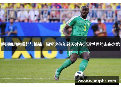 楚阿梅尼的崛起与挑战：探索这位年轻天才在足球世界的未来之路