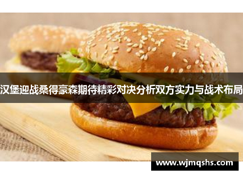 汉堡迎战桑得豪森期待精彩对决分析双方实力与战术布局